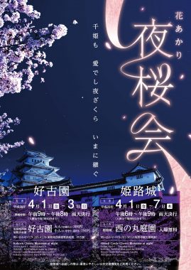 2016夜桜ポスター